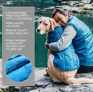 Reversible Dog Coat
