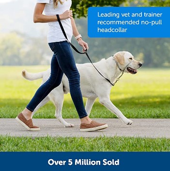 Dog Collar