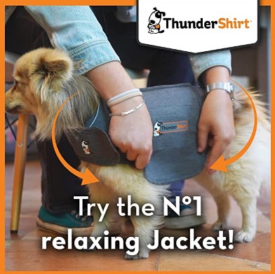 Dog Anxiety Jacket
