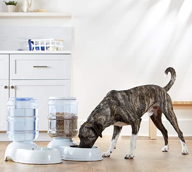 Feeder and Water Dispenser