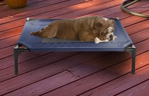 Elevated Dog Bed
