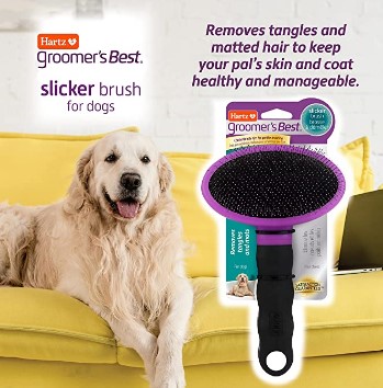 Dog Brush