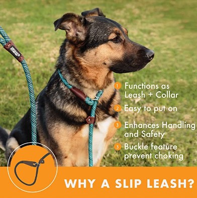 Dog Rope Leash